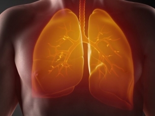 Fisioterapia em pacientes pneumectomizados