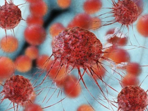 Mama, próstata e intestino: quais os sinais 