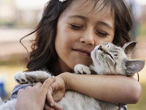 Pessoas em tratamento contra o câncer podem (e devem) ter animais   