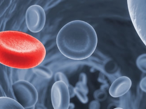 Como é feito o autotransplante de medula óssea?