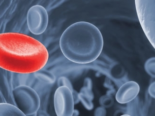 Como é feito o autotransplante de medula óssea?