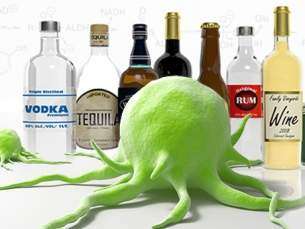 O câncer e o álcool